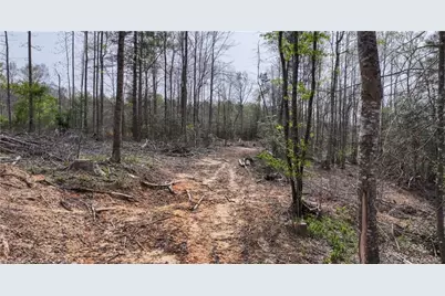 161 Queen Drive, North Wilkesboro, NC 28659 - Photo 7