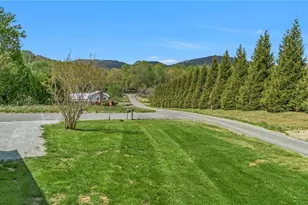 11 Hill St, Sparta, NC 28675 - Photo 37