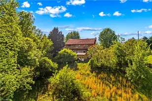 360 Orchard Rd, Moravian Falls, NC 28654 - Photo 5