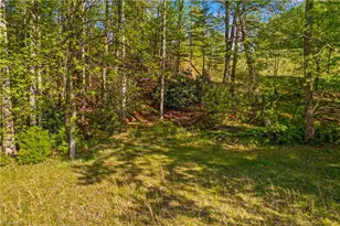 360 Orchard Rd, Moravian Falls, NC 28654 - Photo 49