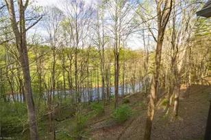 594 Village Pine Dr, Jefferson, NC 28640 - Photo 45