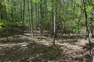 1460 Byrd Ridge Rd, North Wilkesboro, NC 28659 - Photo 21