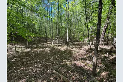 1460 Byrd Ridge Road, North Wilkesboro, NC 28659 - Photo 23