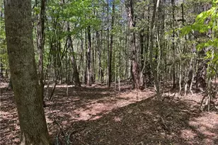1460 Byrd Ridge Rd, North Wilkesboro, NC 28659 - Photo 23