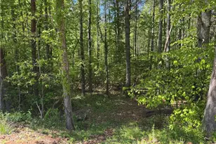 1460 Byrd Ridge Rd, North Wilkesboro, NC 28659 - Photo 25
