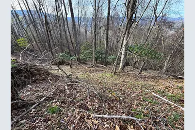 94 Bucks Ridge #15-17, Clyde, NC 28721 - Photo 5