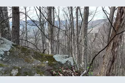 94 Bucks Ridge #15-17, Clyde, NC 28721 - Photo 7