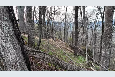94 Bucks Ridge #15-17, Clyde, NC 28721 - Photo 3