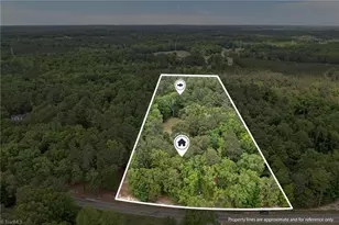 3047 Isley Dr, Snow Camp, NC 27349 - Photo 3