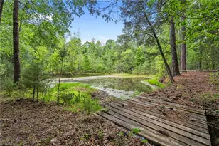 3047 Isley Dr, Snow Camp, NC 27349 - Photo 41