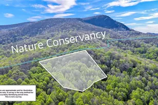 Tbd Bluff Canyon Dr, West Jefferson, NC 28694 - Photo 1