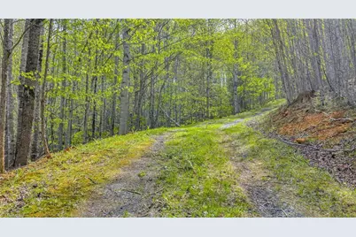 Tbd Bluff Canyon Drive, West Jefferson, NC 28694 - Photo 19
