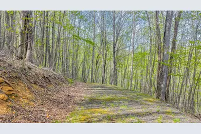 Tbd Bluff Canyon Drive, West Jefferson, NC 28694 - Photo 15