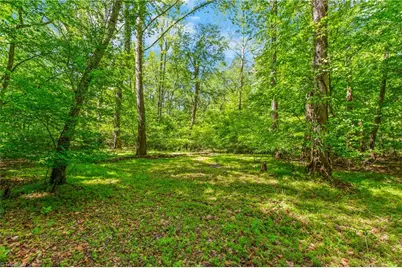 1392 Mission Road, Danbury, NC 27016 - Photo 7