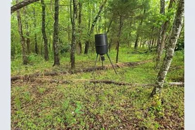 2729 Asbury Road, Mount Airy, NC 27030 - Photo 31