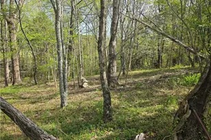 2729 Asbury Rd, Mount Airy, NC 27030 - Photo 35