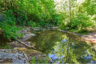 1160 River Bluff Trail, Tobaccoville, NC 27050 - Photo 41