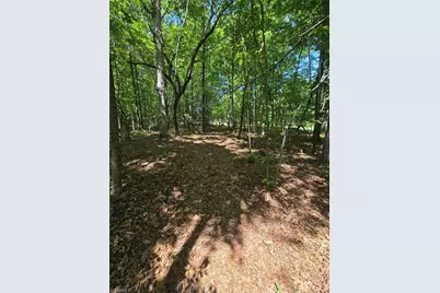 5022 Mt Hermon Rock Creek Road, Snow Camp, NC 27349 - Photo 3