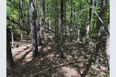 00 Woodwinds Drive, Pelham, NC 27311 - Photo 17