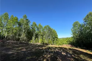 Tract 3 River Rd Liberty Grove Rd, North Wilkesboro, NC 28659 - Photo 1