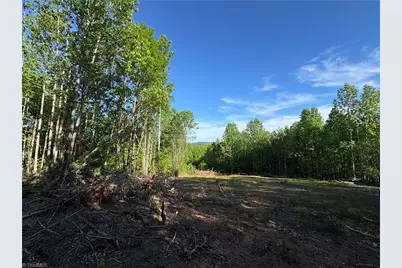 Tract 3 River Rd Liberty Grove Road, North Wilkesboro, NC 28659 - Photo 7