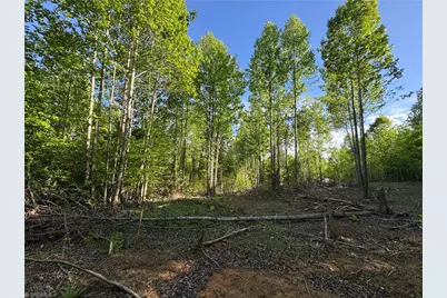 Tract 3 River Rd Liberty Grove Road, North Wilkesboro, NC 28659 - Photo 11
