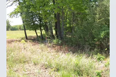 00 Floyd Road, Eden, NC 27288 - Photo 3