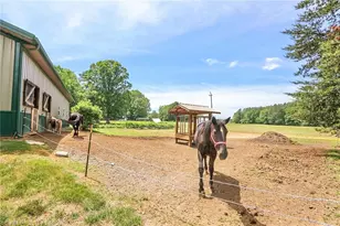 4844 St Paul Church Rd, Hamptonville, NC 27020 - Photo 5