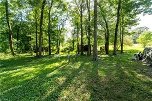 5925 Bob's Lake Rd, Hamptonville, NC 27020 - Photo 5