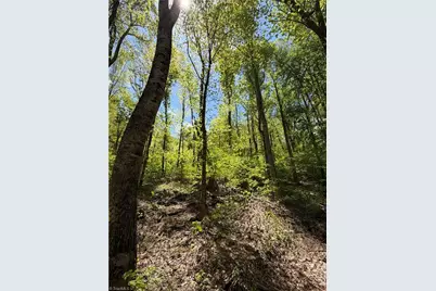 Lot#28 Bluff Ridge Road, West Jefferson, NC 28694 - Photo 1