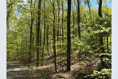 Lot#28 Bluff Ridge Road, West Jefferson, NC 28694 - Photo 7