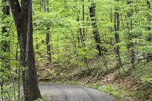 Lot#28 Bluff Ridge Rd, West Jefferson, NC 28694 - Photo 1