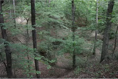 183 E Aiken Road, Eden, NC 27288 - Photo 43
