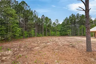 334 Oak Ridge Rd, Eagle Springs, NC 27242 - Photo 9