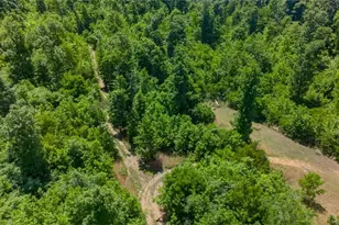3710 Shady Brook Dr, Franklinville, NC 27248 - Photo 29