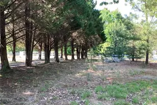 2451 Mountain View Rd, Asheboro, NC 27205 - Photo 27