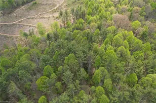 969 Allen Rd, Piney Creek, NC 28663 - Photo 13