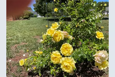 129 Polaris Drive, Mocksville, NC 27028 - Photo 13
