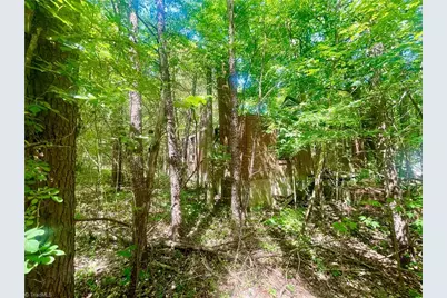 0 N Nc Highway 119, Mebane, NC 27302 - Photo 5