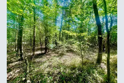 0 N Nc Highway 119, Mebane, NC 27302 - Photo 1