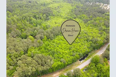 Lot3 Murdocksville Road, West End, NC 27376 - Photo 3