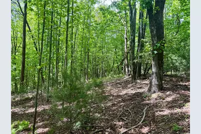 0000 Ashe View Drive, Millers Creek, NC 28651 - Photo 39