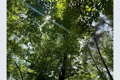0000 Ashe View Drive, Millers Creek, NC 28651 - Photo 11