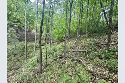 0000 Ashe View Drive, Millers Creek, NC 28651 - Photo 27