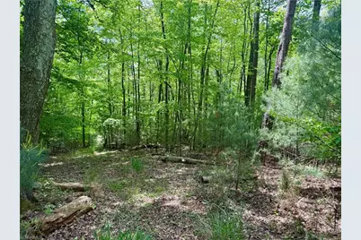 0000 Ashe View Drive, Millers Creek, NC 28651 - Photo 25