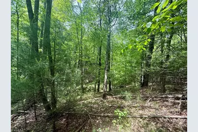 0000 Ashe View Drive, Millers Creek, NC 28651 - Photo 21