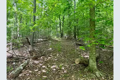 0000 Ashe View Drive, Millers Creek, NC 28651 - Photo 33
