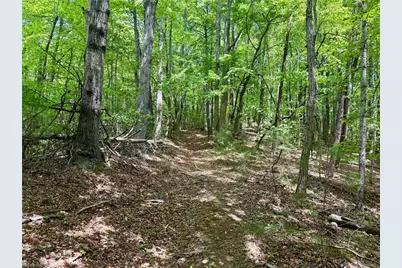 0000 Ashe View Drive, Millers Creek, NC 28651 - Photo 35