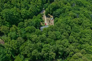 160 Shepherds Pass, Moravian Falls, NC 28654 - Photo 43