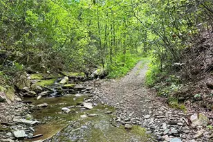000 N Old Nc Hwy 16, Millers Creek, NC 28651 - Photo 1